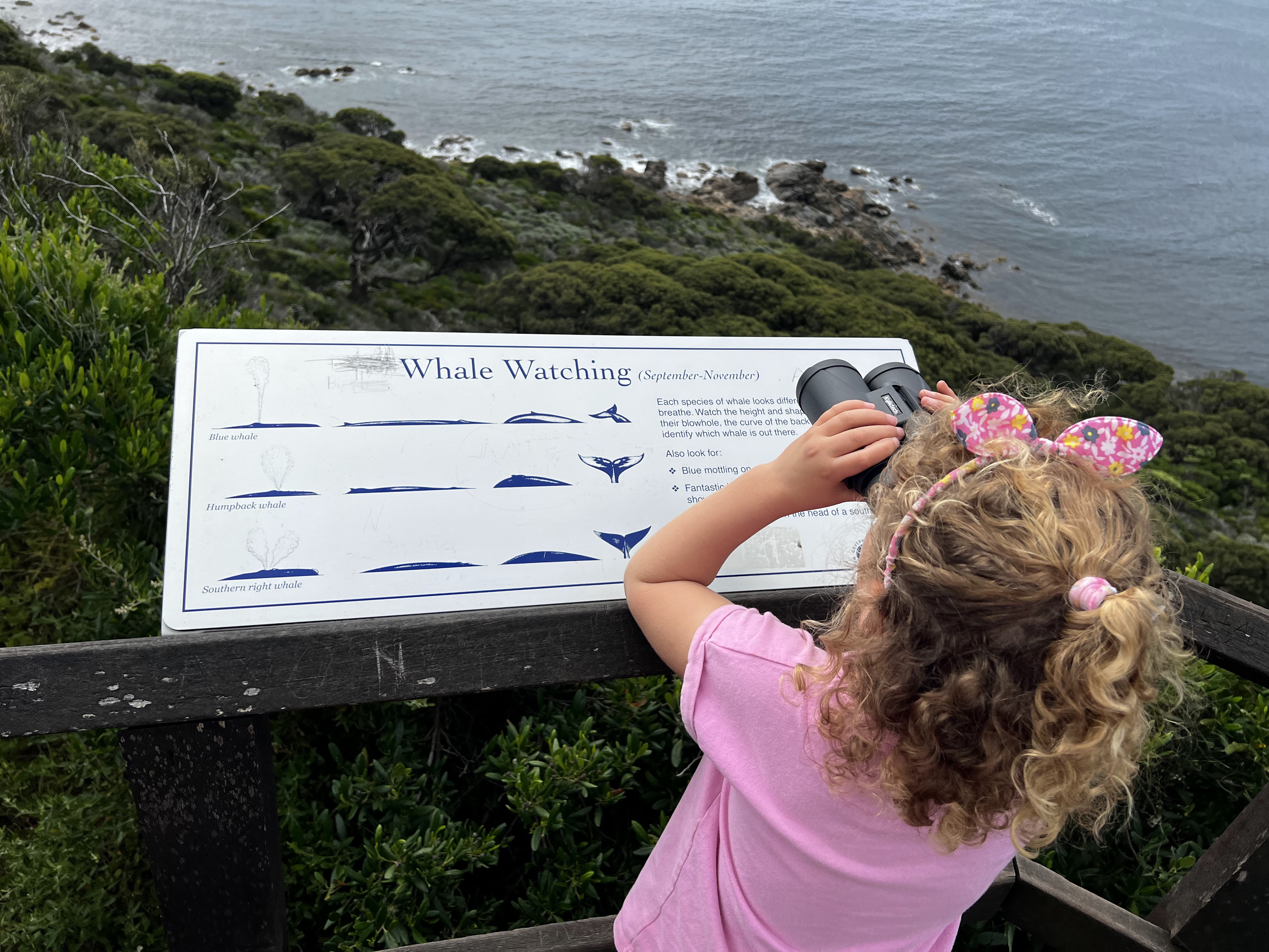 Dunsborough & Cape Naturaliste — Whale watching, Wraps and Wheels
